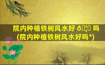 院内种植铁树风水好 🦊 吗(院内种植铁树风水好吗*
)